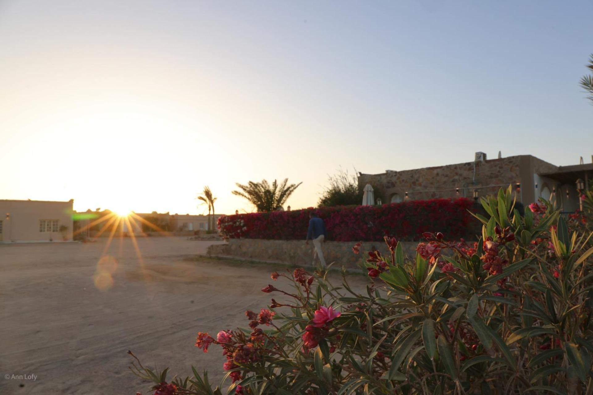 Campsite Sharm El Naga And Diving Center